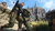 Sniper Elite 5 SERIES X/S - XBOX ONE