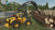 Farming Simulator 22: Platinum Edition SERIES X/S - XBOX ONE